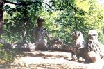 Le parc des monstres de Bomarzo