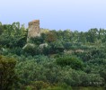 Tour Pagliaccetto à Torre in Pietra