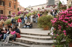 azalées de la place d Espagne