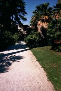 Orto botanico de Rome