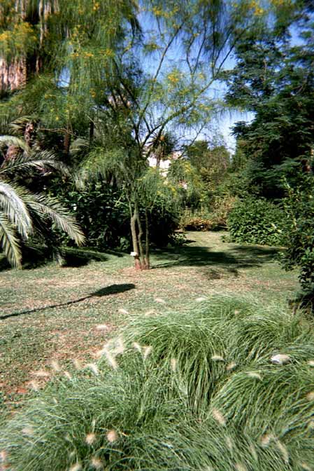 Orto botanico de Rome