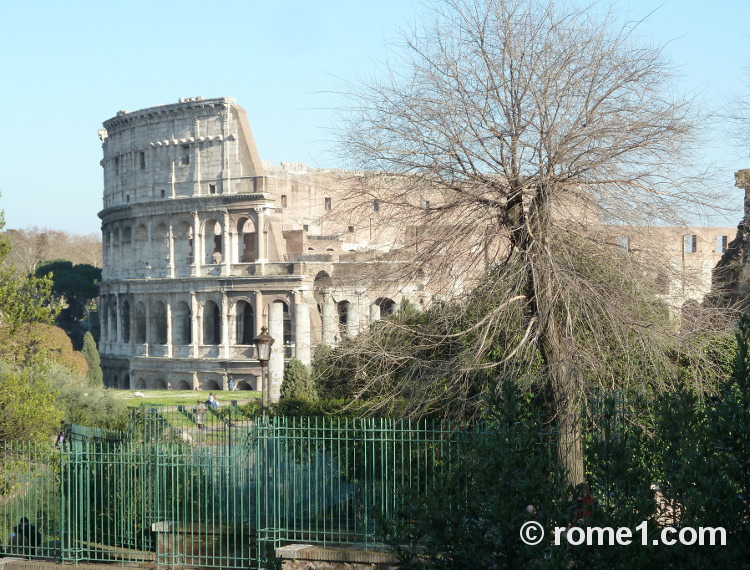 Musées de Rome Colisée de Rome