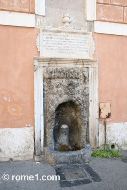 fontaine-pour-chien