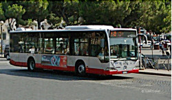 Bus de Rome