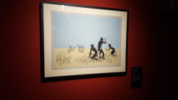 Expositions 2016 à Rome Banksy